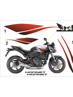 Honda Hornet CB 600 f 2009 - 2010 [457]