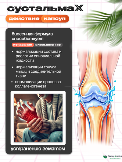 Сустальмакс: нейронные связи и здоровье вен