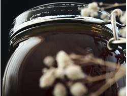 Дягилевый темный мед алтайский | ферма СытникЪ