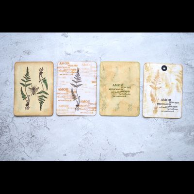 ФП  штамп "Папоротник серебристый"