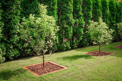 Кора лиственница, фракция 6-10 см. (60 л.)