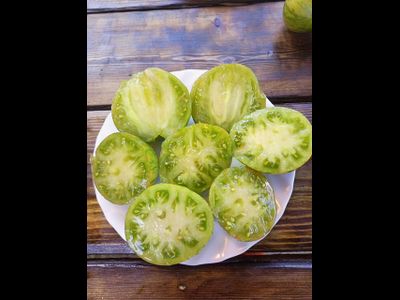 Томат Звёздный истребитель VT16  (Rebel Starfighter VT16)