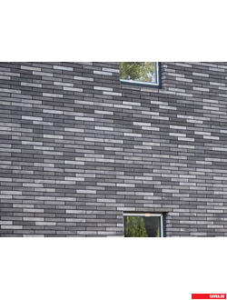 Ригельбрик Триколор