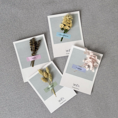Открытка с сухоцветами