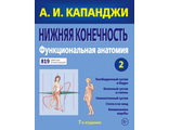 Нижняя конечность. Функциональная анатомия. Капанджи А.И. &quot;ЭКСМО&quot;. 2020