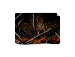 Покрывало Дом Дракона, House of the Dragon №3