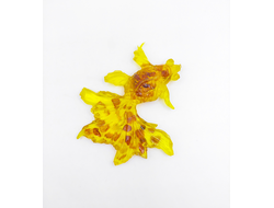 Сувенир-магнит "Золотая Рыбка"