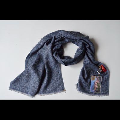 Итальянский платок Vizio Италия 6200 SS синий фото