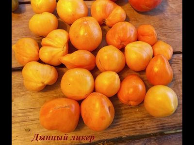 Томат Дынный ликер