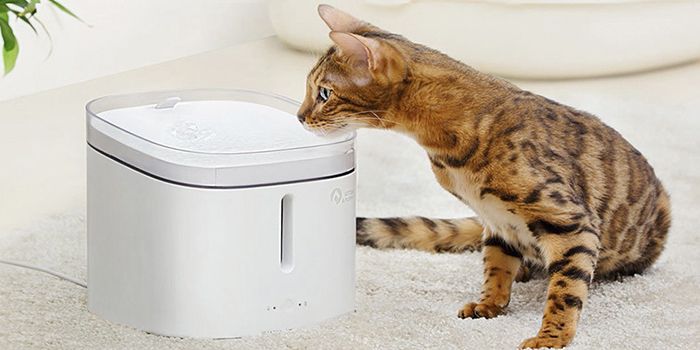 Mijia water sale dispenser