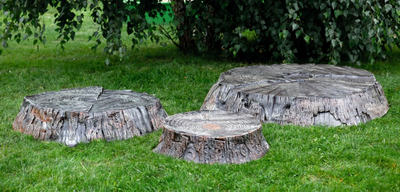 Крышка люка Пень малый 07697