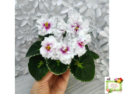 Р-В Стране Чудес (В.Зуб) 2023 г.