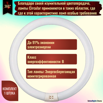 Osram С Circular L 22w/840 G10q