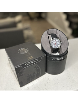 Наручные часы Citizen AT0200-13A