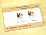 Трехчастные карточки «Собаки» (30 пород)