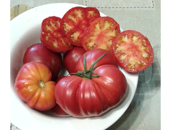 Семена томата Селвин джелоу (Селвин желтый)