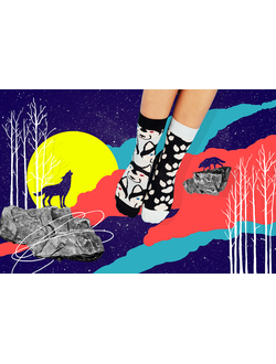 Носочки Sammy Icon Balto