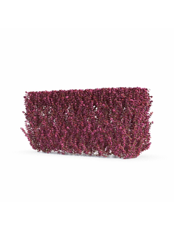 стриженые Барбарис 03а