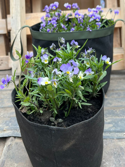 Кашпо садовое 7 литров. Умный тканевый горшок Гроубэг