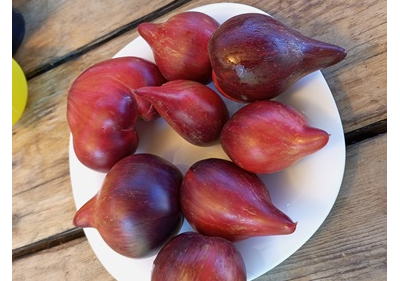 Томат Огненная комета Софии