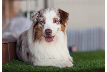 MOONBABY’S FIRE SKY / Фаер /, mas