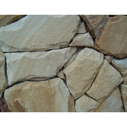 Песчаник Бело-рыжий