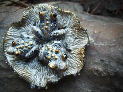 "Дочери лесного царя", волшебная брошь с лягушками и каплями (миниатюра, 4 см)