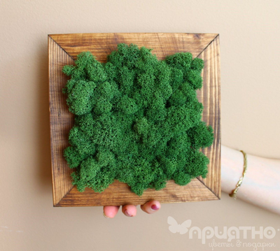 Живая Эко-Картина 1069