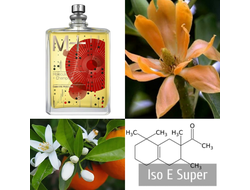 Escentric Molecules Molecule 01 + Champaca