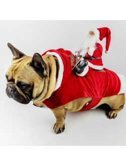 Костюм для собак Санта в упряжке