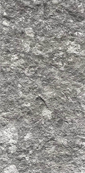Rough Stone Granite