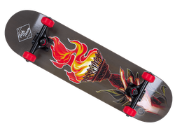 Деревянный скейтборд ТТ Elite