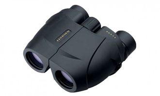 Бинокль LEUPOLD Rogue 8x25 Compact черный