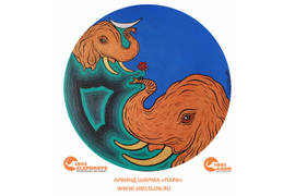 Арвинд Шарма (Индия, Карнал)