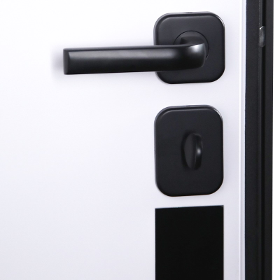 Стальная дверь   Токио. Заказная модель.