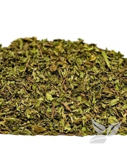 Мята Марокканская