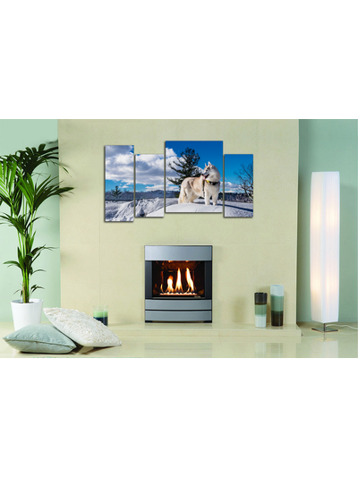 Модульная картина "Снежная лайка"