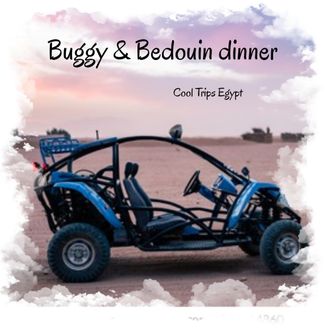 Buggy safari and Bedouin dinner from Sharm El Sheikh