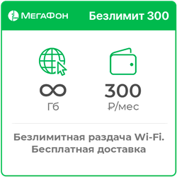 Мегафон Безлимит 300