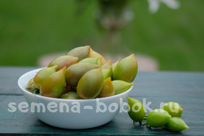 Томат Конфеты Сладкие Сосульки (Candy Sweet Icicle), 10 шт