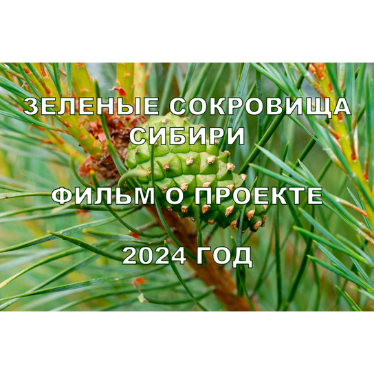 СМОТРИТЕ ФИЛЬМ О ПРОЕКТЕ!