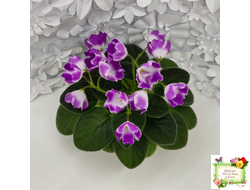 SimSim Magic Bells (Alex Mayer) (лист посажен 07.10.25)