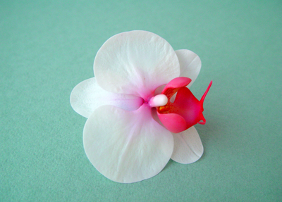 Орхидея "Баунти"