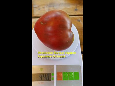Томат Японское бычье сердце (Japanese Oxheart)