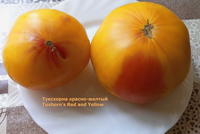 Томат Туксханс красно-жёлтый (Tuxhorn’s Red and Yellow)