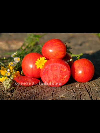 Томат Воловье сердце полосатое, 10 шт.