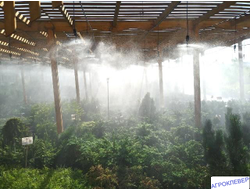 Подвес для микродождевателя / фоггера (6мм Н), с клапаном "антикапля", 50 см (белый)