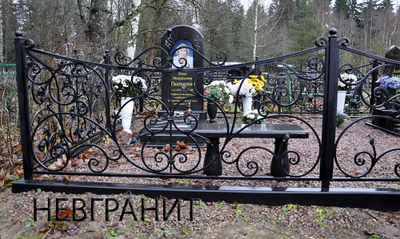 Кованная ограда 9