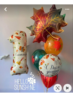 День знаний № 6