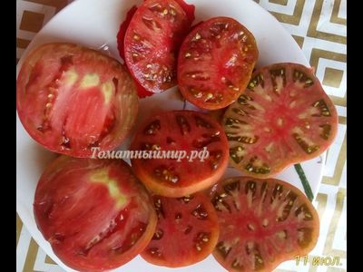 Томат Черный Франкенштейн (Frankenstein Black) США